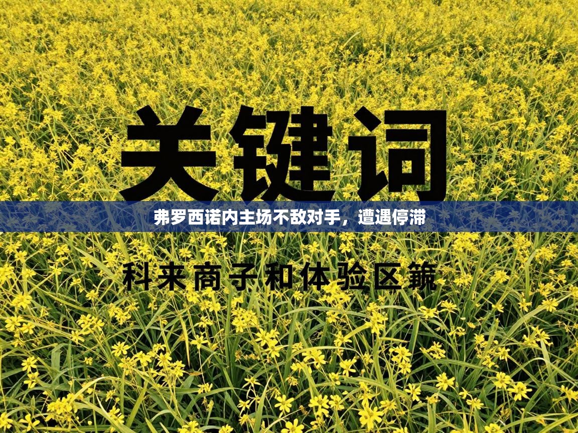 弗罗西诺内主场不敌对手，遭遇停滞  第1张